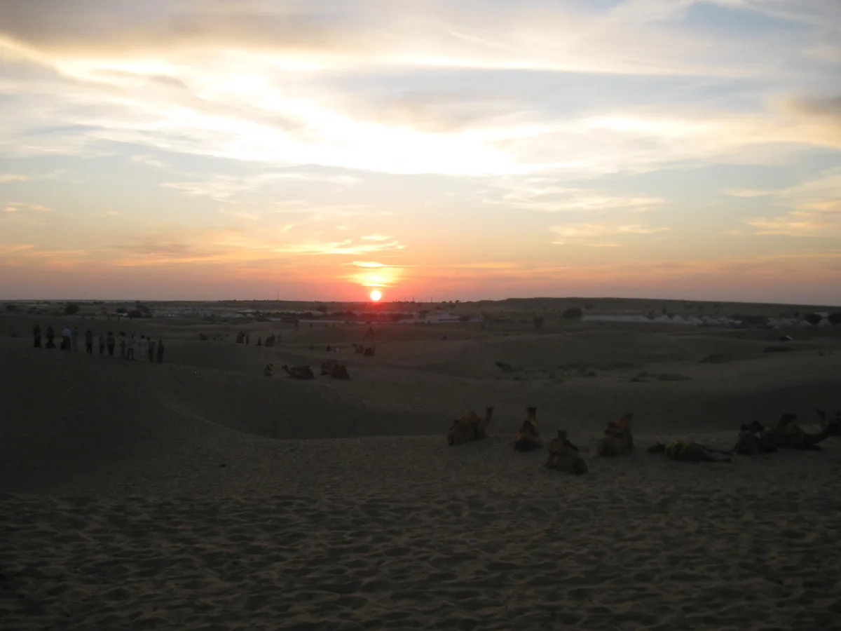 Desert camping and safari in Jaisalmer