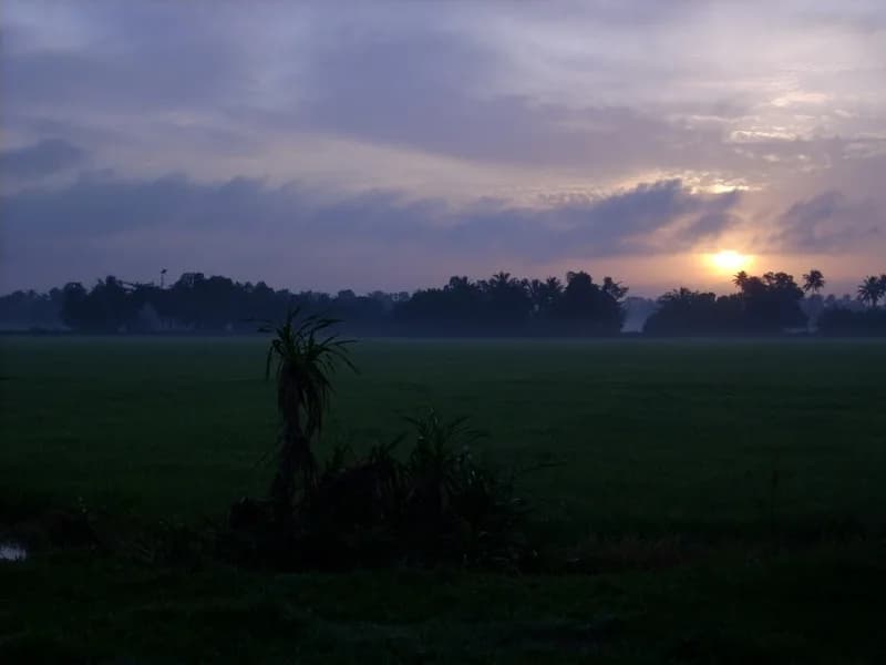 Kerala, Kerala